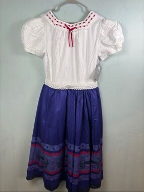 Disney Encanto Luisa Women’s Costume Dress
